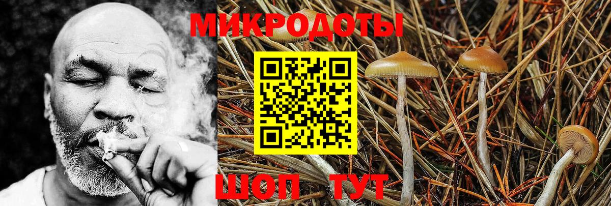 Псилоцибиновые грибы прущие грибы  Вход с VPN  хочу   Семилуки 